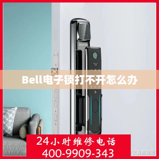 Bell电子锁打不开怎么办