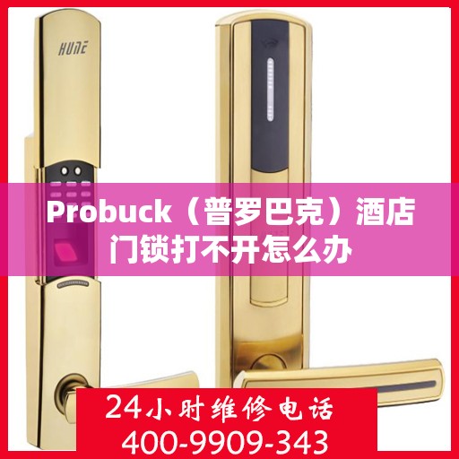 Probuck（普罗巴克）酒店门锁打不开怎么办