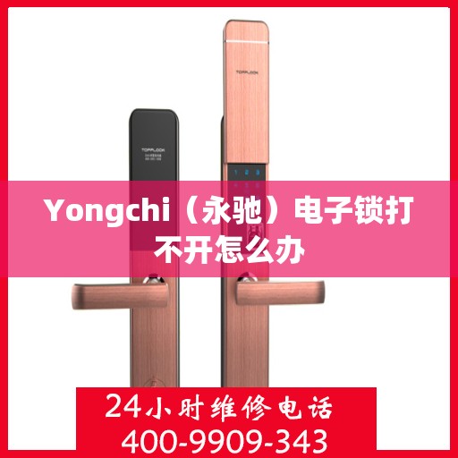 Yongchi（永驰）电子锁打不开怎么办