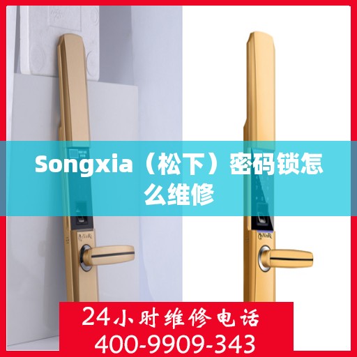 Songxia（松下）密码锁怎么维修