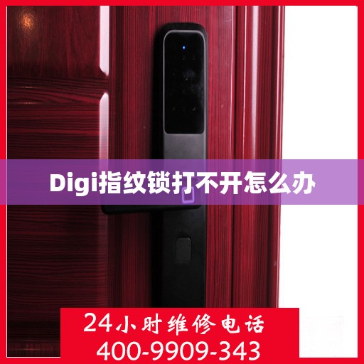 Digi指纹锁打不开怎么办