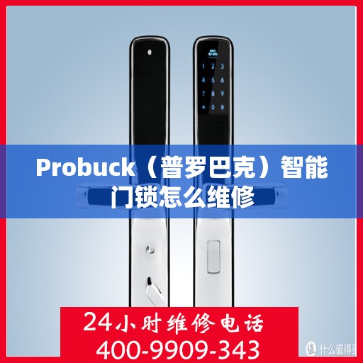 Probuck（普罗巴克）智能门锁怎么维修