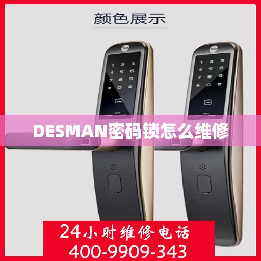 DESMAN密码锁怎么维修