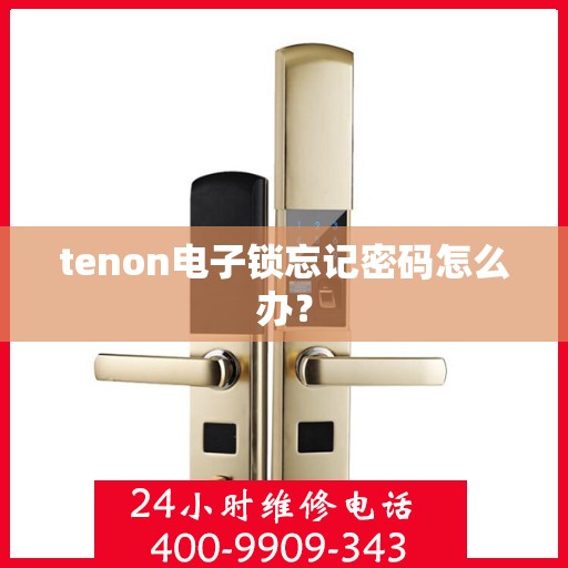 tenon电子锁忘记密码怎么办？