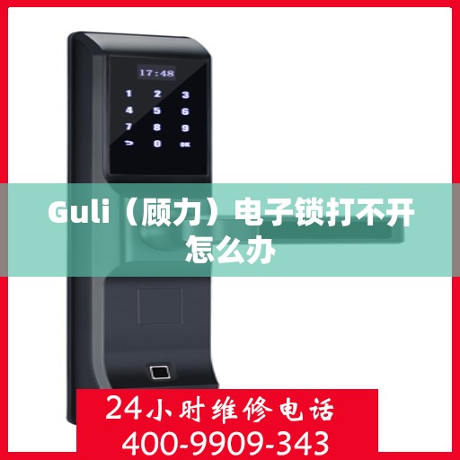 Guli（顾力）电子锁打不开怎么办