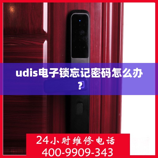 udis电子锁忘记密码怎么办？