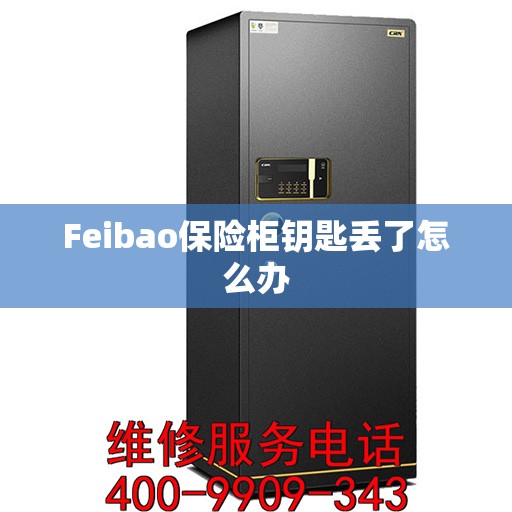 Feibao保险柜钥匙丢了怎么办