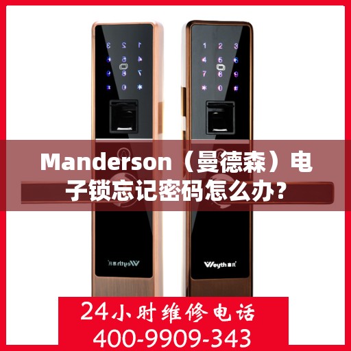 Manderson（曼德森）电子锁忘记密码怎么办？