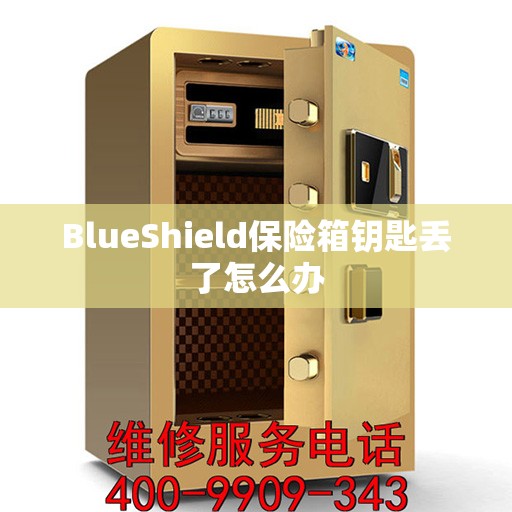 BlueShield保险箱钥匙丢了怎么办