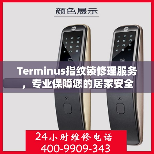 Terminus指纹锁修理服务，专业保障您的居家安全