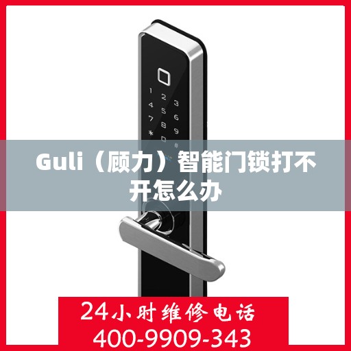 Guli（顾力）智能门锁打不开怎么办