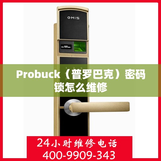 Probuck（普罗巴克）密码锁怎么维修