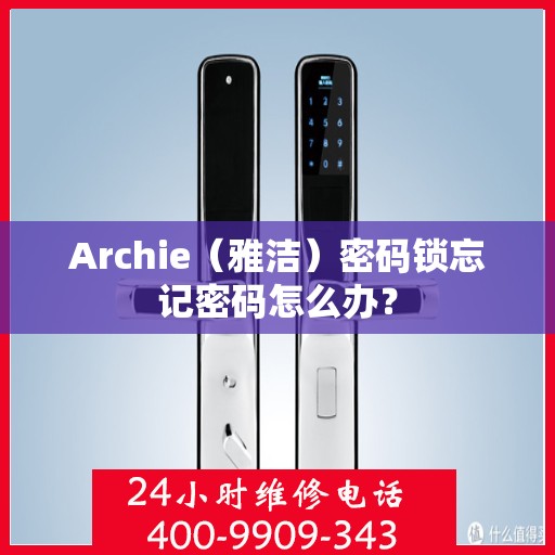 Archie（雅洁）密码锁忘记密码怎么办？