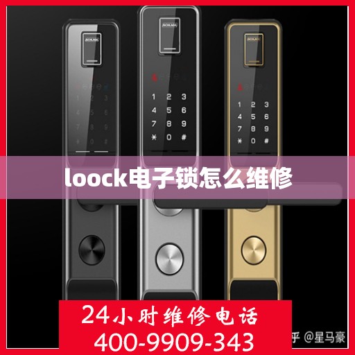 loock电子锁怎么维修