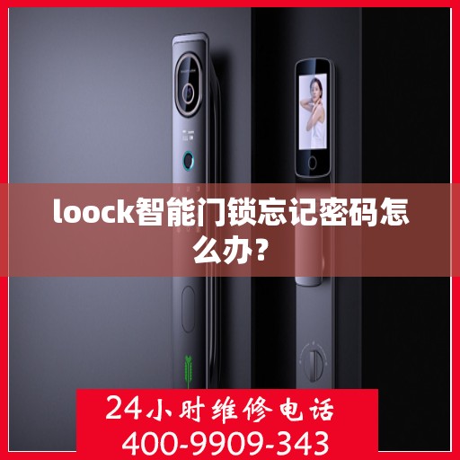 loock智能门锁忘记密码怎么办？