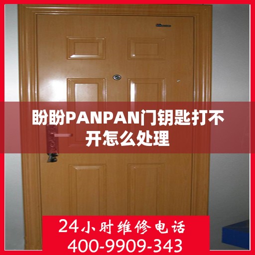 盼盼PANPAN门钥匙打不开怎么处理