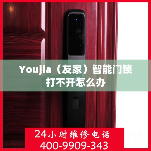 Youjia（友家）智能门锁打不开怎么办