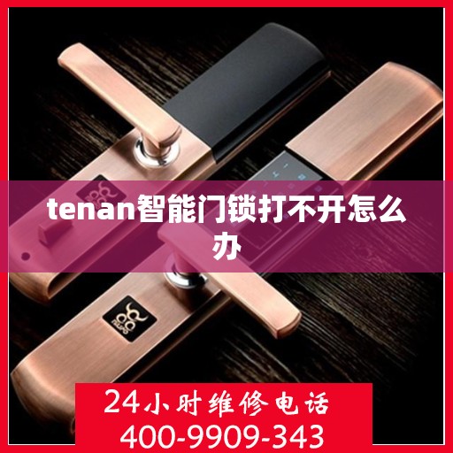 tenan智能门锁打不开怎么办