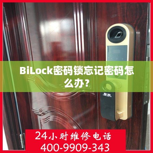 BiLock密码锁忘记密码怎么办？