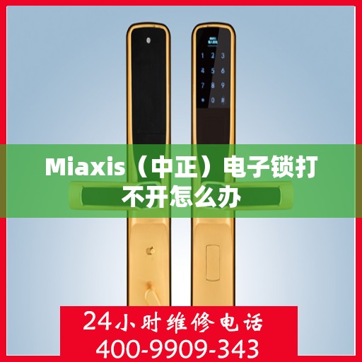 Miaxis（中正）电子锁打不开怎么办