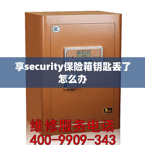 享security保险箱钥匙丢了怎么办