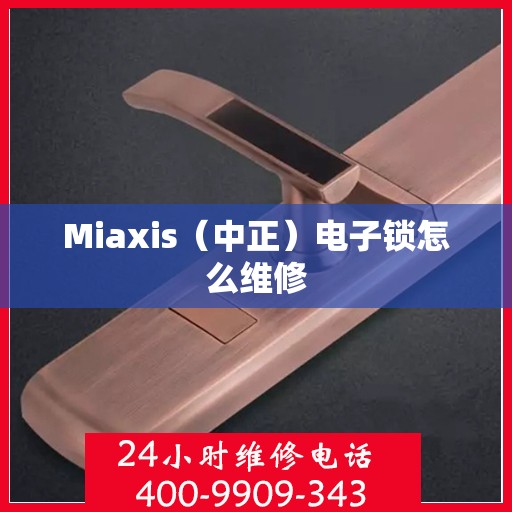 Miaxis（中正）电子锁怎么维修