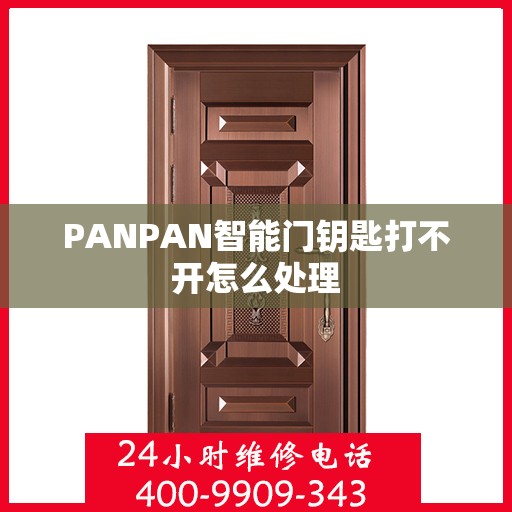 PANPAN智能门钥匙打不开怎么处理