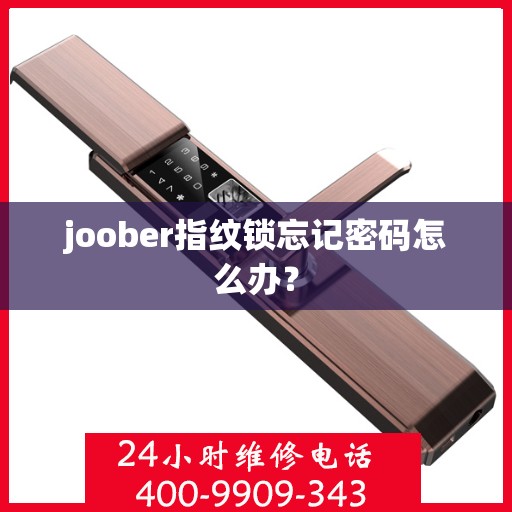 joober指纹锁忘记密码怎么办？