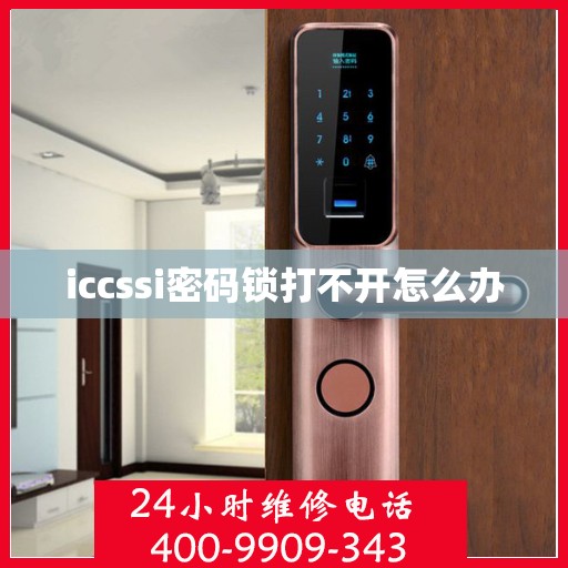 iccssi密码锁打不开怎么办