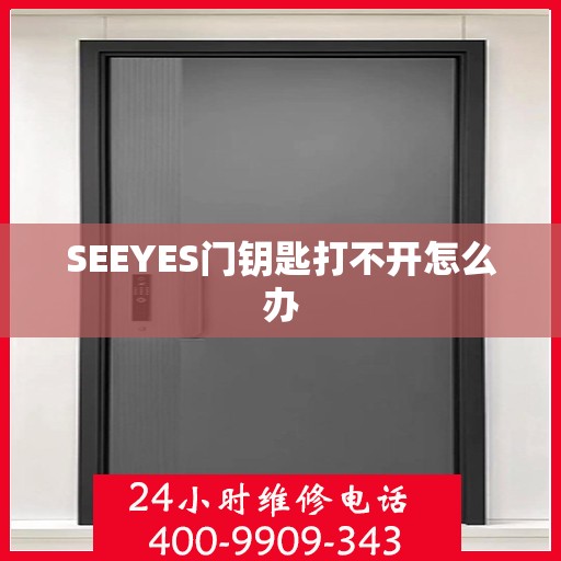 SEEYES门钥匙打不开怎么办