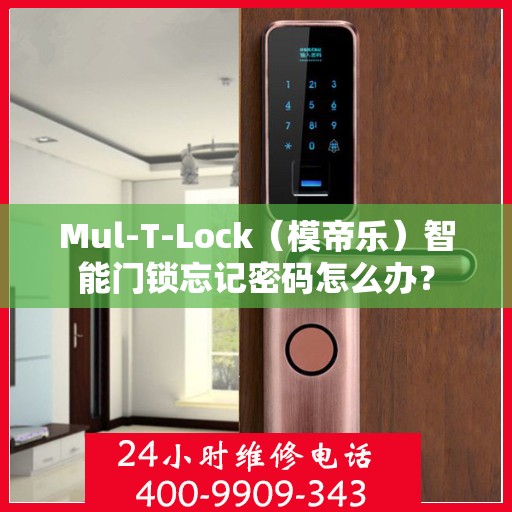 Mul-T-Lock（模帝乐）智能门锁忘记密码怎么办？