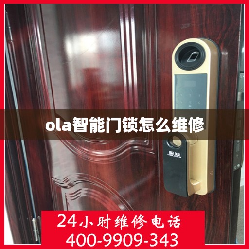 ola智能门锁怎么维修