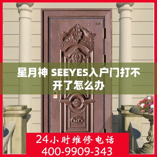 星月神 SEEYES入户门打不开了怎么办