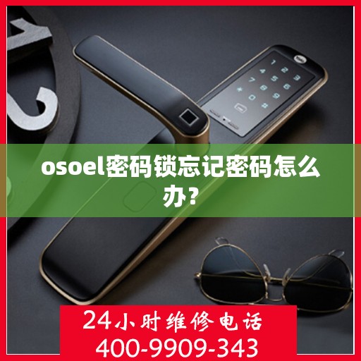 osoel密码锁忘记密码怎么办？