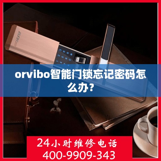 orvibo智能门锁忘记密码怎么办？