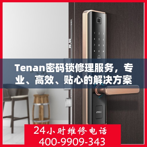 Tenan密码锁修理服务，专业、高效、贴心的解决方案