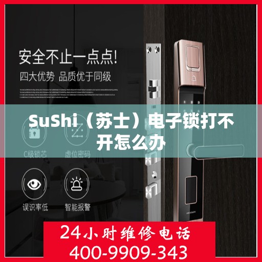 SuShi（苏士）电子锁打不开怎么办