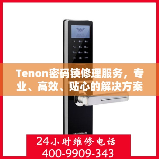 Tenon密码锁修理服务，专业、高效、贴心的解决方案