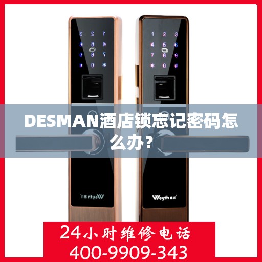 DESMAN酒店锁忘记密码怎么办？