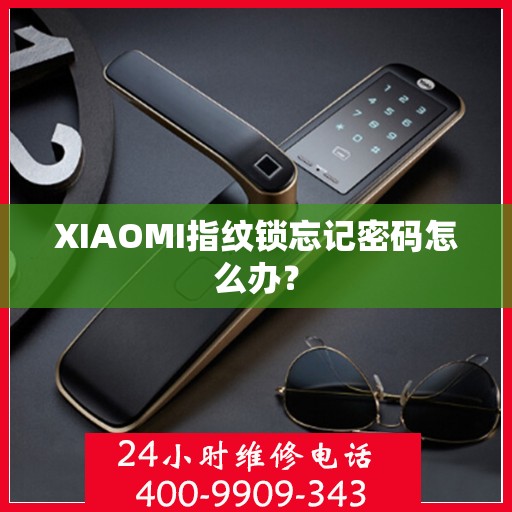 XIAOMI指纹锁忘记密码怎么办？