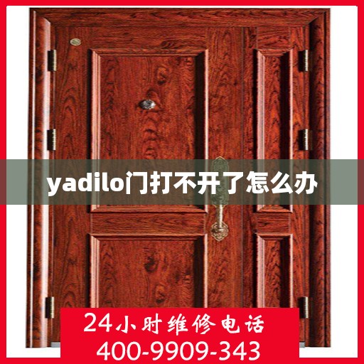 yadilo门打不开了怎么办