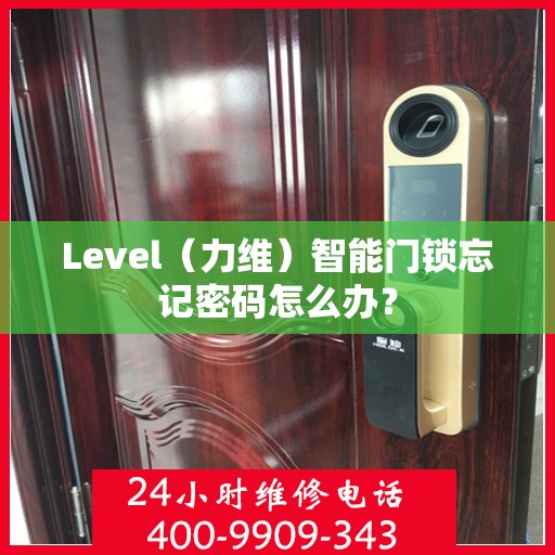 Level（力维）智能门锁忘记密码怎么办？