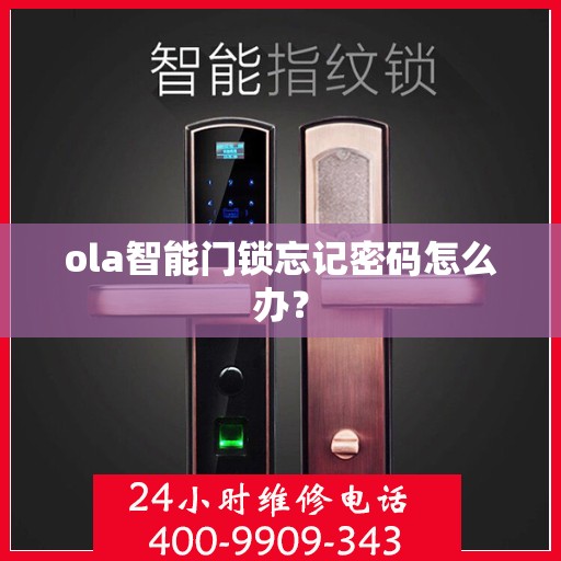 ola智能门锁忘记密码怎么办？