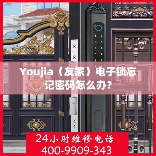 Youjia（友家）电子锁忘记密码怎么办？