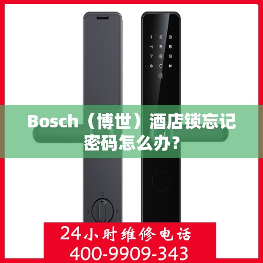 Bosch（博世）酒店锁忘记密码怎么办？