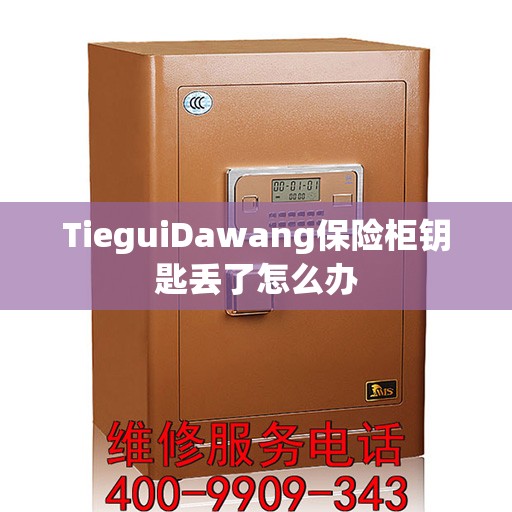 TieguiDawang保险柜钥匙丢了怎么办