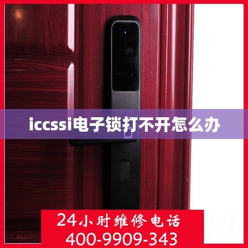 iccssi电子锁打不开怎么办