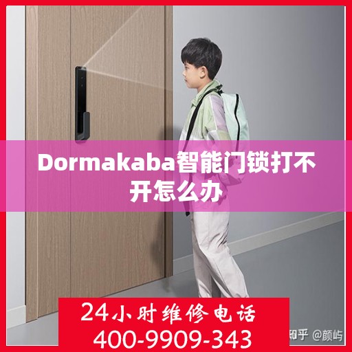 Dormakaba智能门锁打不开怎么办