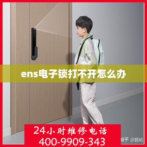 ens电子锁打不开怎么办