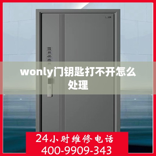 wonly门钥匙打不开怎么处理